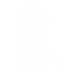 Свіжий зріз